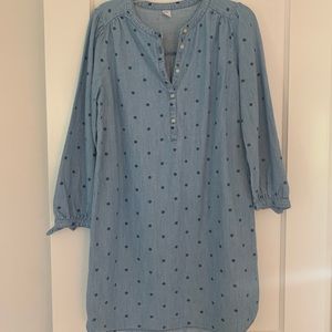 Chambray polka dot dress